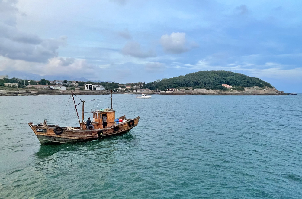 自然散步在青岛大公岛做海鸟监测的一夜