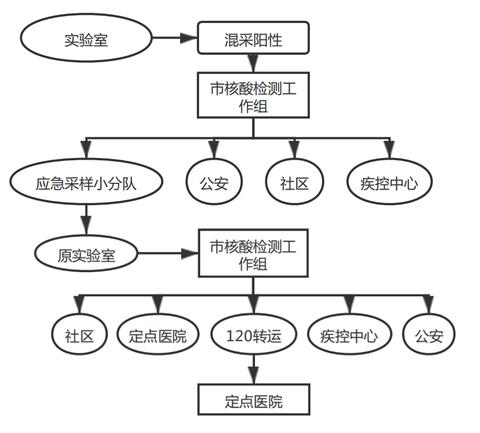 新版全员核酸检测组织实施指南发布 500万人口以上城市应在3天内完成全员核酸检测休闲区蓝鸢梦想 - Www.slyday.coM