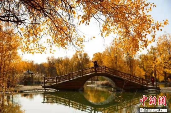 金塔昔日沙海变绿洲 “点沙成金”渐兴生态经济休闲区蓝鸢梦想 - Www.slyday.coM