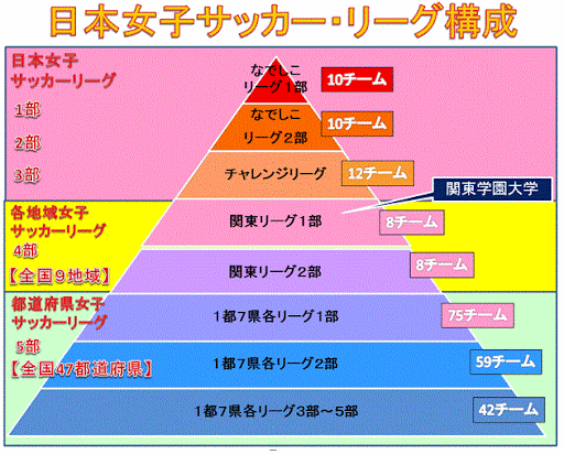 日本女子サッカーリーグのピラミッド。