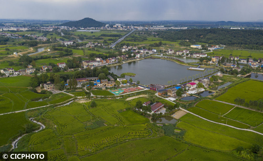 安徽庐江:改善人居环境 提升乡村"颜值"