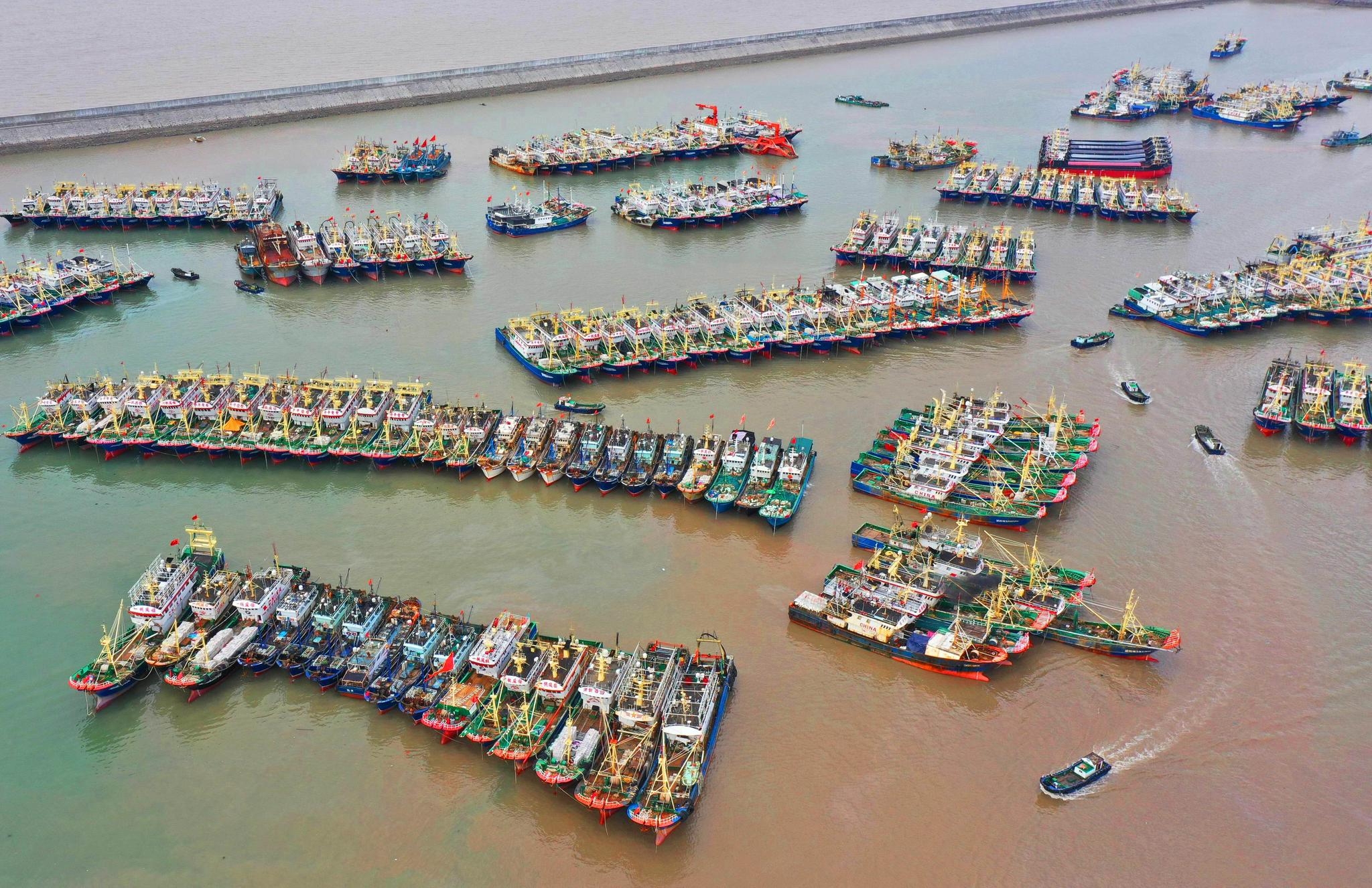 温岭:开渔在即 千帆待发|温岭市|渔船|东海_新浪新闻