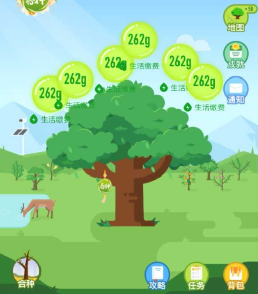 支付宝又搞事我们偷能量种的树都是假的