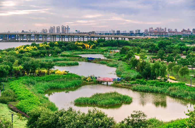 "渤海综合治理攻坚战"首战告捷,还渤海一片美丽海湾|天津市|渤海|攻坚