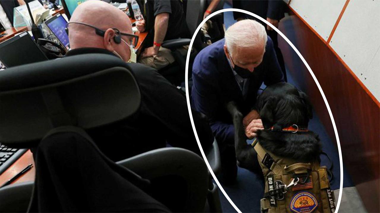 拜登单膝下跪会见一条狗 耳畔厮磨侧身倾听,抚摸后继续与人握手