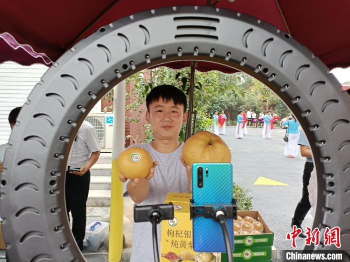 馆陶县“黄梨小镇”，一位正在做黄梨推广直播的年轻人向记者展示丰收的黄梨。王天译 摄