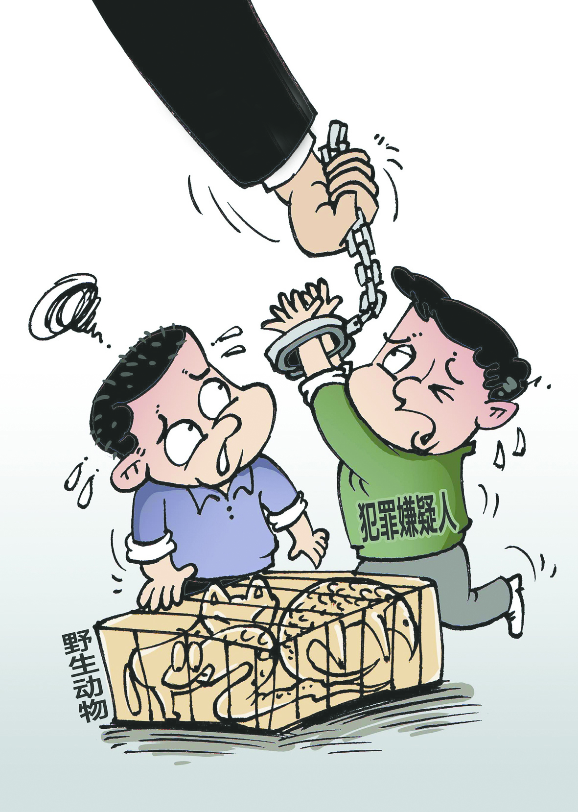 网购野生动物当宠物?不仅要被高额罚款,还可能引发牢狱之灾