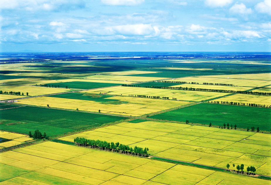 国务院批复了十四五东北全面振兴开干