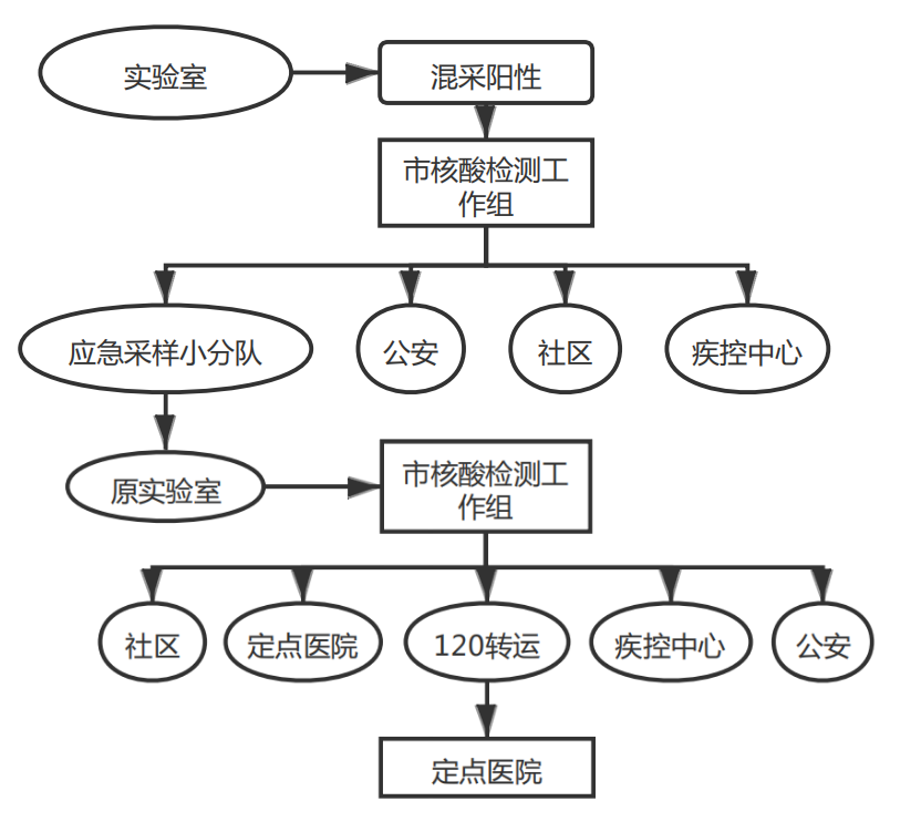 图1混采阳性处置流程