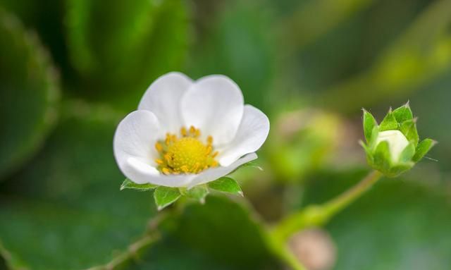 原来,这就是重逢休闲区蓝鸢梦想 - Www.slyday.coM