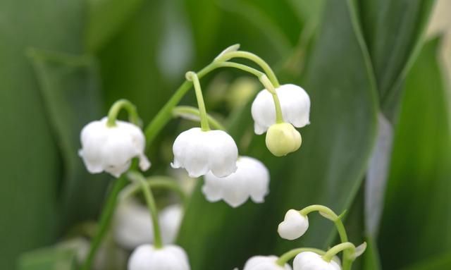 原来,这就是重逢休闲区蓝鸢梦想 - Www.slyday.coM