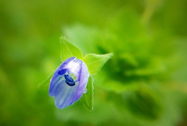 原来,这就是重逢休闲区蓝鸢梦想 - Www.slyday.coM