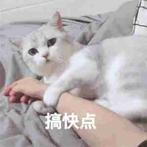 金晨、佟丽娅绝美起舞，罗一舟凌空“起飞”，名场面全靠他？休闲区蓝鸢梦想 - Www.slyday.coM