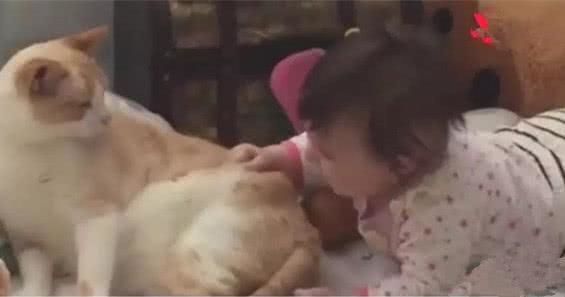 猫咪正在睡觉，宝宝突然抓住猫咪的屁股，结果猫咪的反应暖哭了休闲区蓝鸢梦想 - Www.slyday.coM