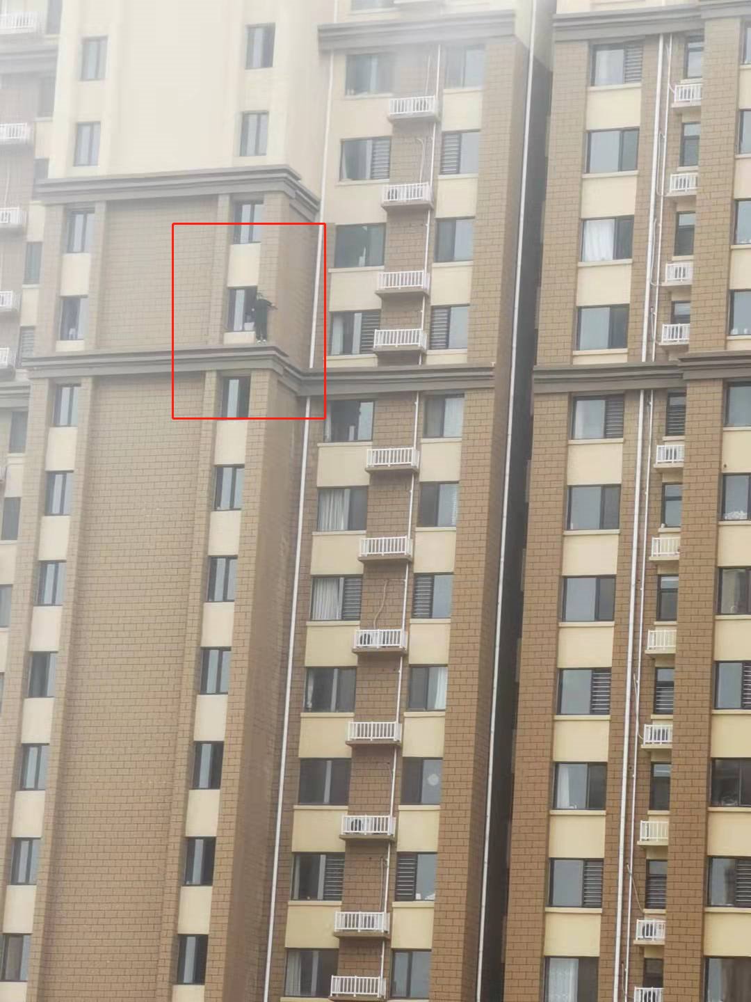 河北男子将孩子从29楼扔下并捅伤妻子 物业：孩子身亡妻子送医抢救休闲区蓝鸢梦想 - Www.slyday.coM