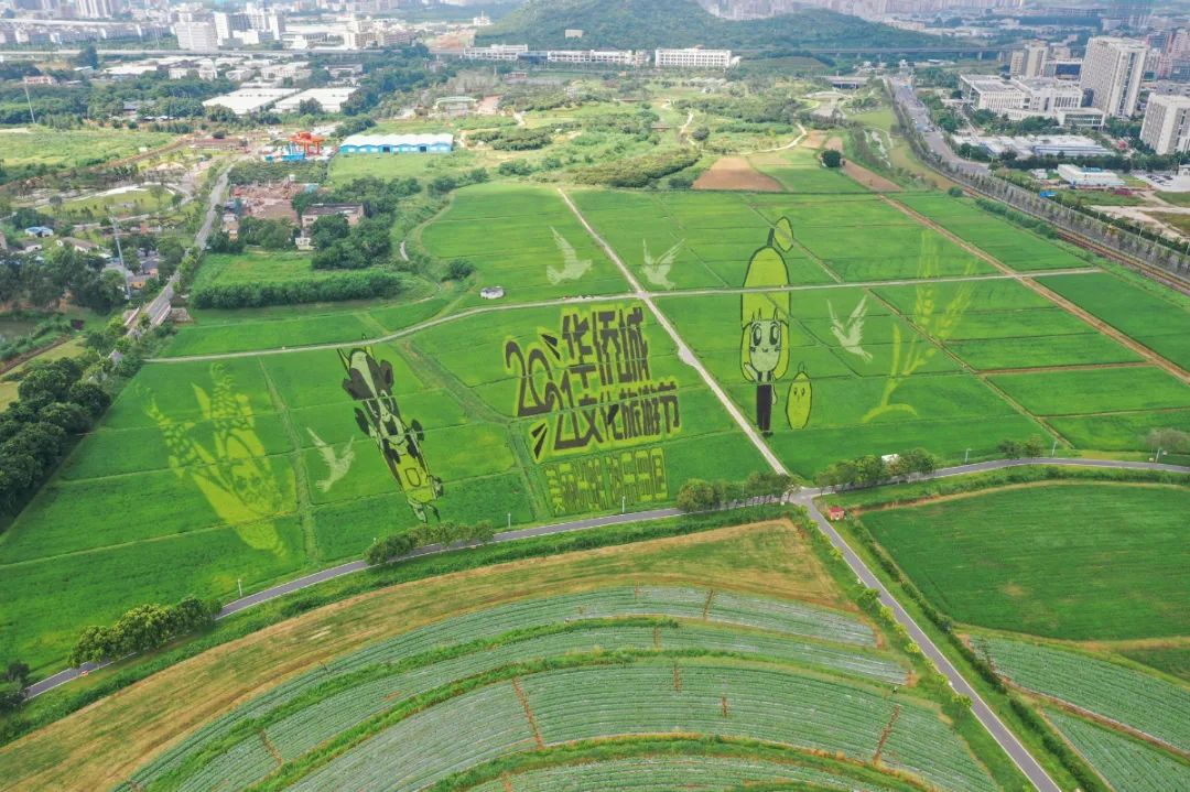 瞰光明，到底有多美！休闲区蓝鸢梦想 - Www.slyday.coM