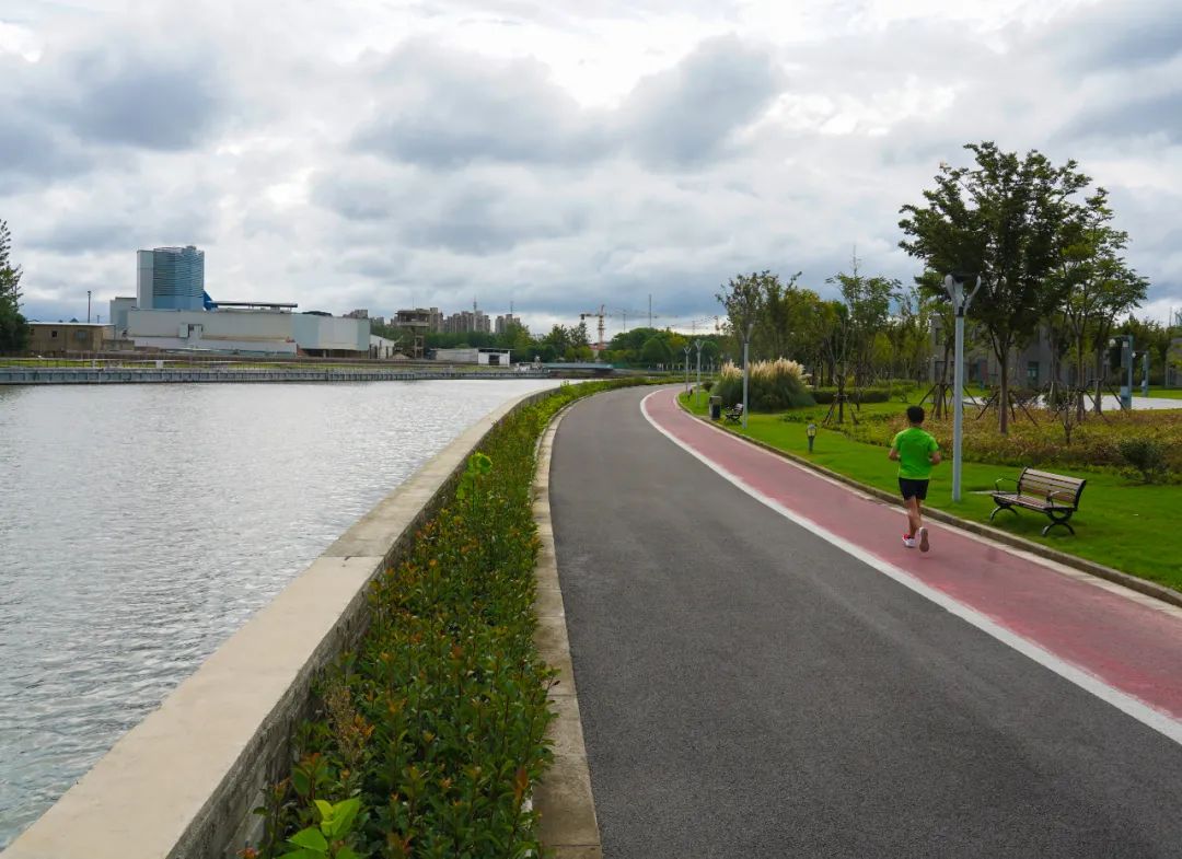 临空音乐公园河畔白玉兰盛开在音乐里