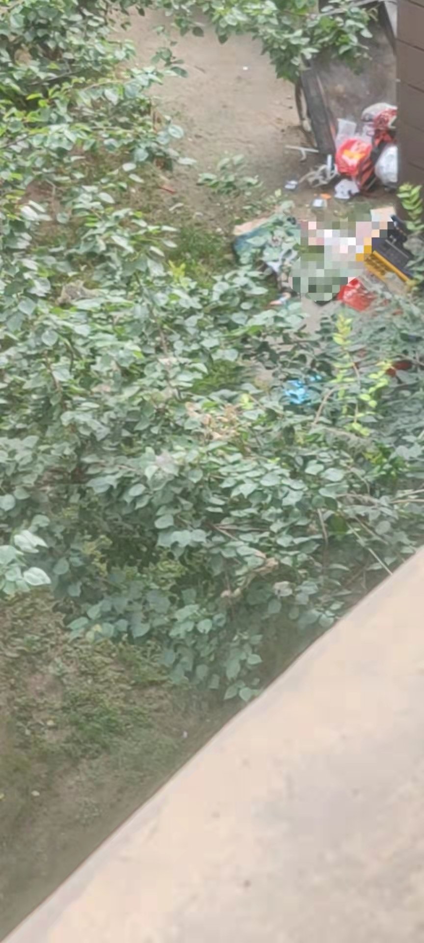 河北男子将孩子从29楼扔下并捅伤妻子 物业：孩子身亡妻子送医抢救休闲区蓝鸢梦想 - Www.slyday.coM