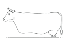 为了流畅玩游戏，英特尔在背后做了那么多休闲区蓝鸢梦想 - Www.slyday.coM