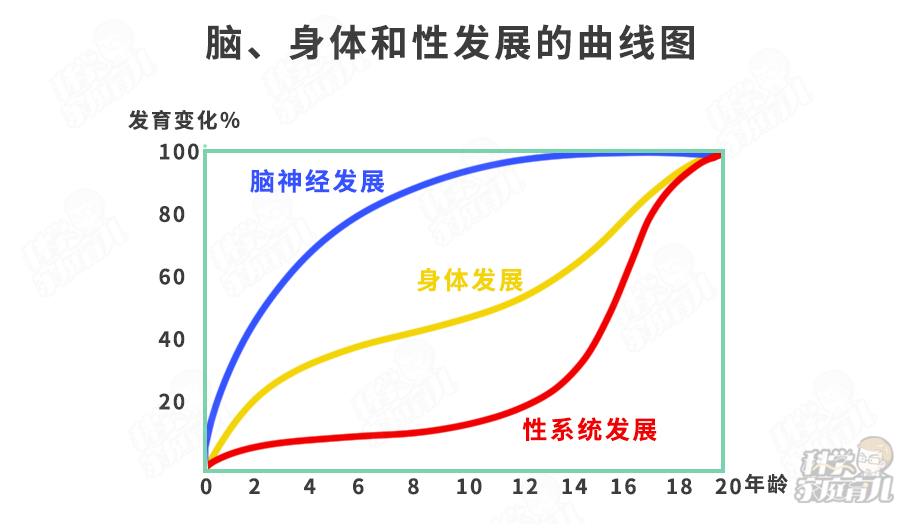 从小不运动的娃大脑发育慢培养运动习惯认准这4点