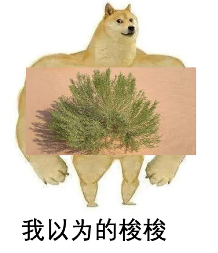 蚂蚁森林没有树我能量白偷了