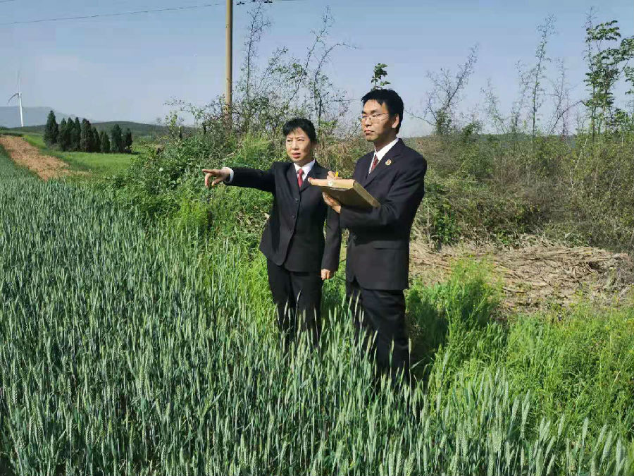 承办检察官到西村查看耕地情况