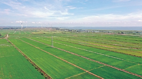 安徽农垦打造优质绿色农产品生产加工基地