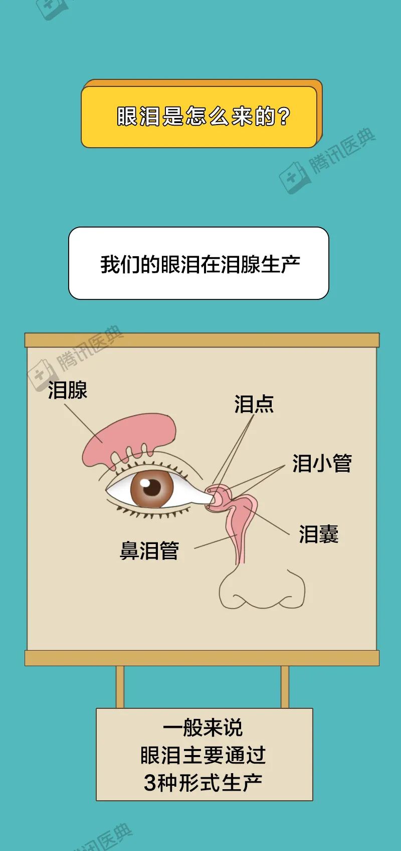 爱哭的人和不爱哭的人谁更健康