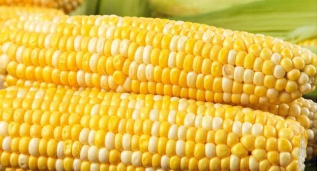 长期不吃精制碳水,只吃菜和肉,会变成什么样?休闲区蓝鸢梦想 - Www.slyday.coM