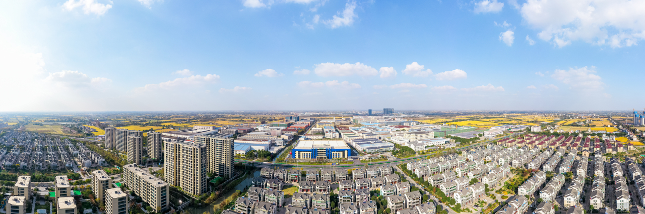 平湖新埭镇以有为智治实现防台防疫两战赢