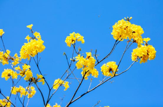 月城西昌与中秋晚会的完美契合！西昌原来你这么美！休闲区蓝鸢梦想 - Www.slyday.coM