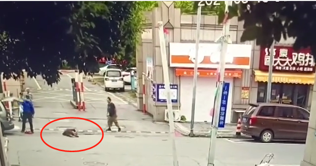 城管拎摔摆摊老人，立案调查！休闲区蓝鸢梦想 - Www.slyday.coM