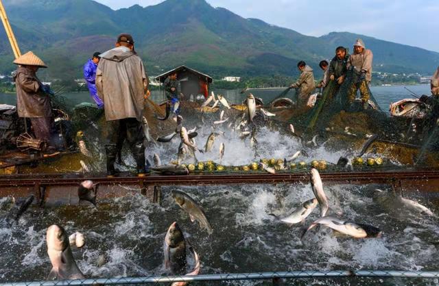月城西昌与中秋晚会的完美契合！西昌原来你这么美！休闲区蓝鸢梦想 - Www.slyday.coM
