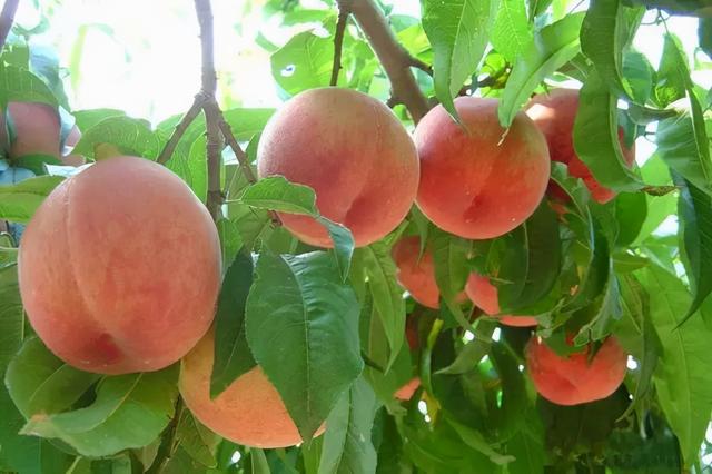 月城西昌与中秋晚会的完美契合！西昌原来你这么美！休闲区蓝鸢梦想 - Www.slyday.coM