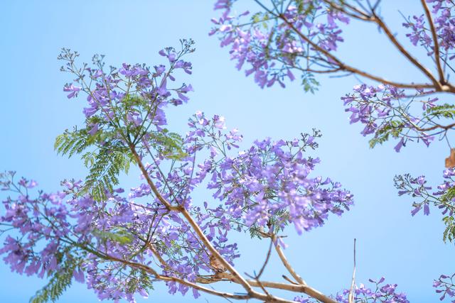 月城西昌与中秋晚会的完美契合！西昌原来你这么美！休闲区蓝鸢梦想 - Www.slyday.coM