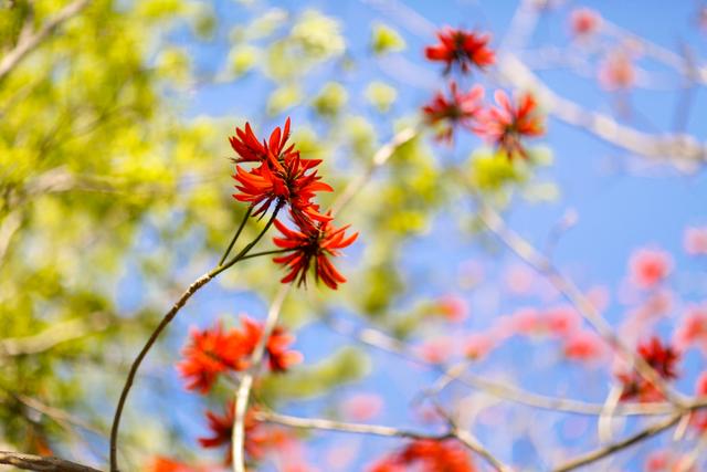 月城西昌与中秋晚会的完美契合！西昌原来你这么美！休闲区蓝鸢梦想 - Www.slyday.coM