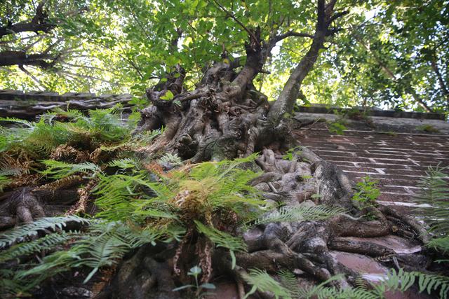 月城西昌与中秋晚会的完美契合！西昌原来你这么美！休闲区蓝鸢梦想 - Www.slyday.coM