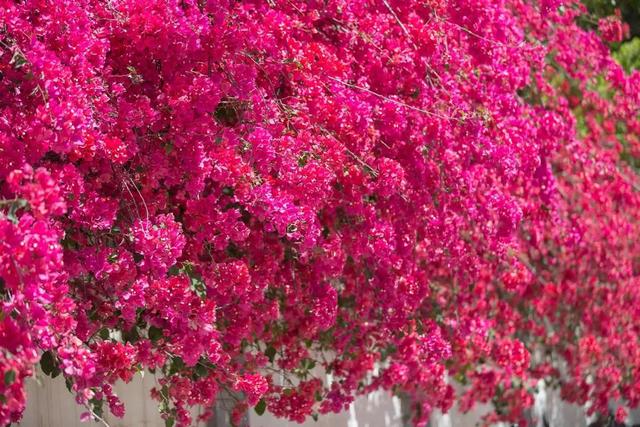 月城西昌与中秋晚会的完美契合！西昌原来你这么美！休闲区蓝鸢梦想 - Www.slyday.coM