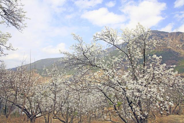 月城西昌与中秋晚会的完美契合！西昌原来你这么美！休闲区蓝鸢梦想 - Www.slyday.coM