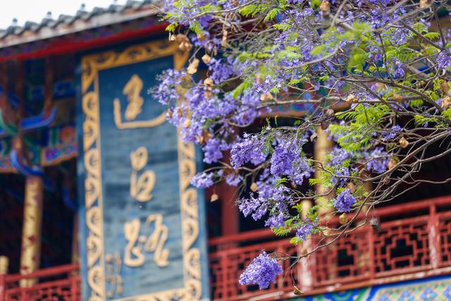 月城西昌与中秋晚会的完美契合！西昌原来你这么美！休闲区蓝鸢梦想 - Www.slyday.coM