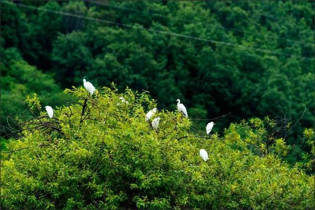 月城西昌与中秋晚会的完美契合！西昌原来你这么美！休闲区蓝鸢梦想 - Www.slyday.coM