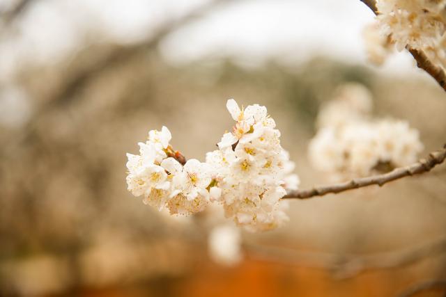 月城西昌与中秋晚会的完美契合！西昌原来你这么美！休闲区蓝鸢梦想 - Www.slyday.coM
