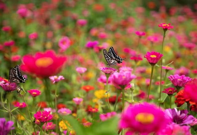 月城西昌与中秋晚会的完美契合！西昌原来你这么美！休闲区蓝鸢梦想 - Www.slyday.coM