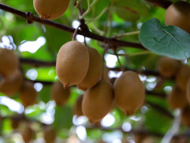 月城西昌与中秋晚会的完美契合！西昌原来你这么美！休闲区蓝鸢梦想 - Www.slyday.coM