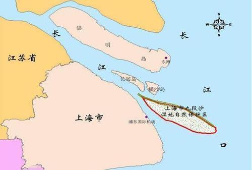 上海九段沙湿地国家级自然保护区,位于长江河口和东海交汇处.网络图