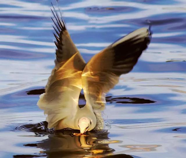 月城西昌与中秋晚会的完美契合！西昌原来你这么美！休闲区蓝鸢梦想 - Www.slyday.coM