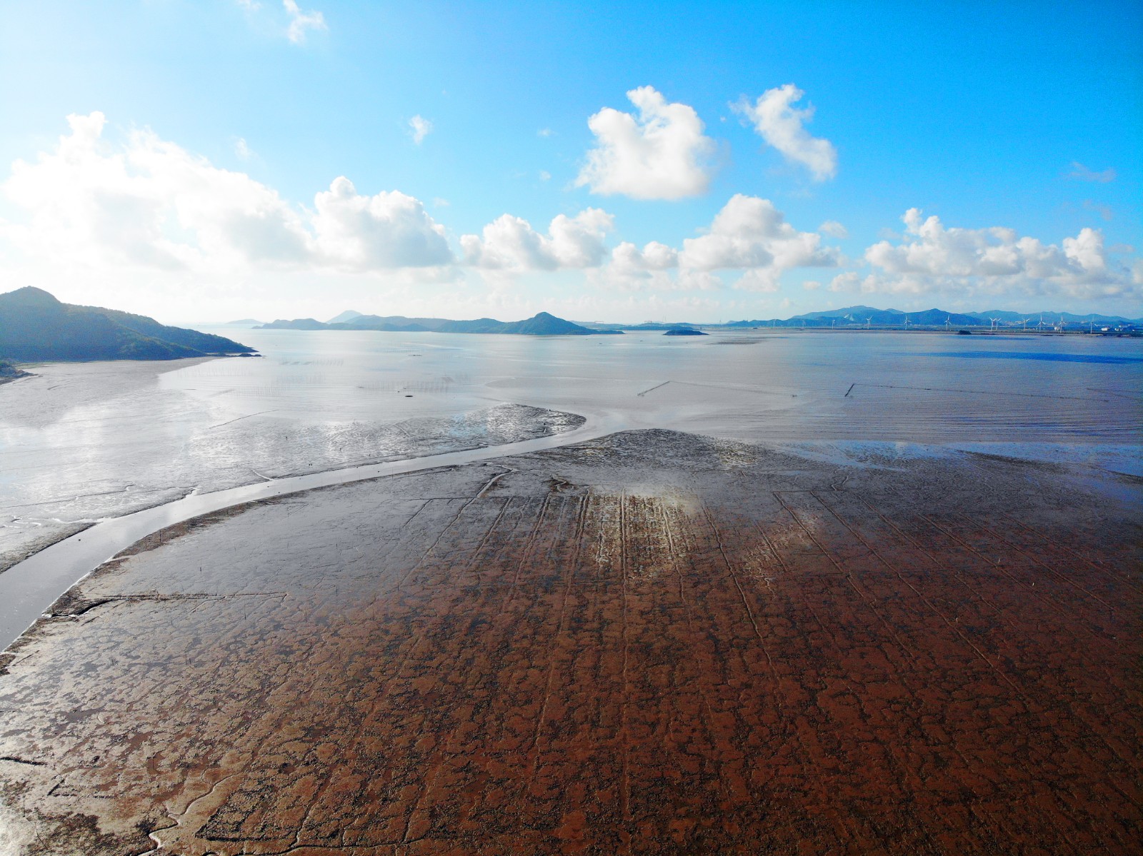 图说丨海边滩涂美如画