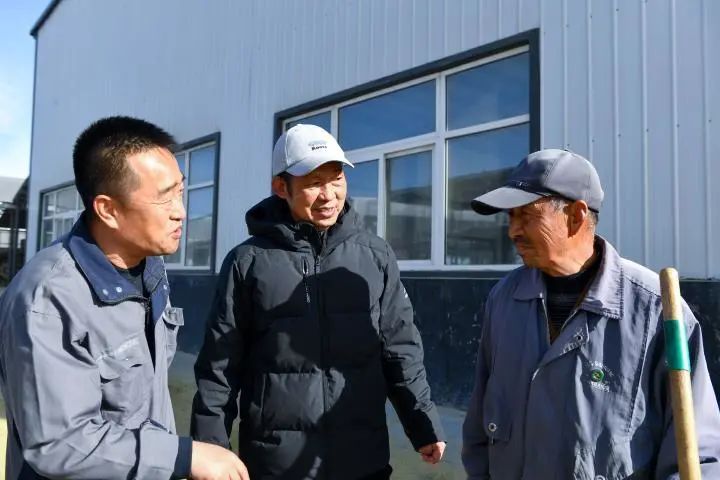 在内蒙古丰镇市隆盛庄镇朝天沟移民村,台商周大顺(中)在柠条加工厂与