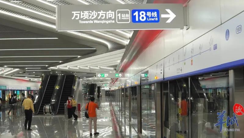 共设置8座地下车站,南起南沙区万顷沙,经横沥,番禺广场,南村万博,北连