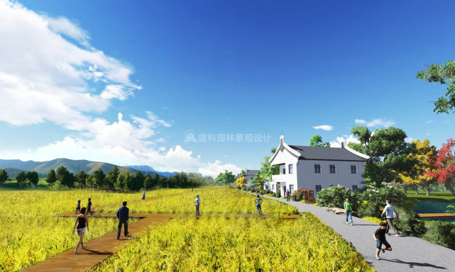 农业生态园的景观设计步骤 建科园林景观